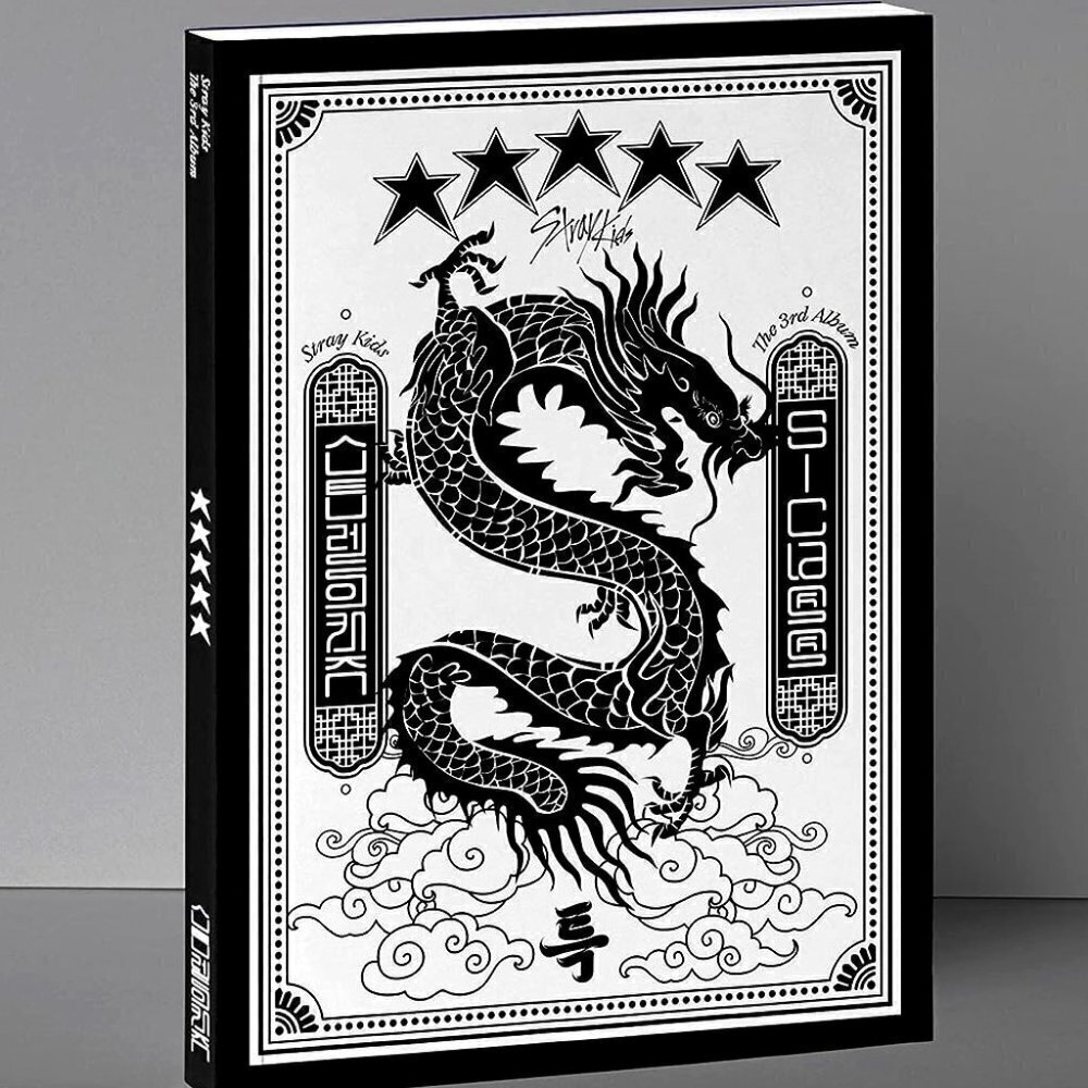 Stray Kids 3rd Album Photobook Photocard